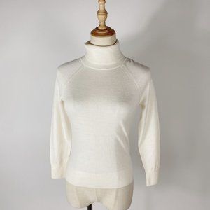 NWT Banana Republic Eco Merino Turtleneck Sweater